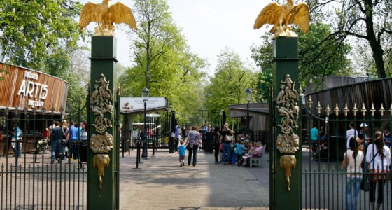 Afbeelding van de ingang van de dierentuin Artis met lopende mensen. Een groen hek met aan beide kanten een groene paal met gouden adelaars bovenop.